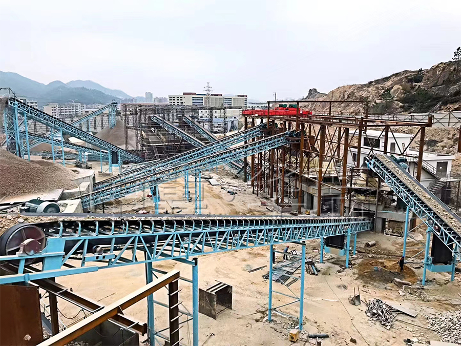 遼寧鞍山客戶桁架式輸送機現場